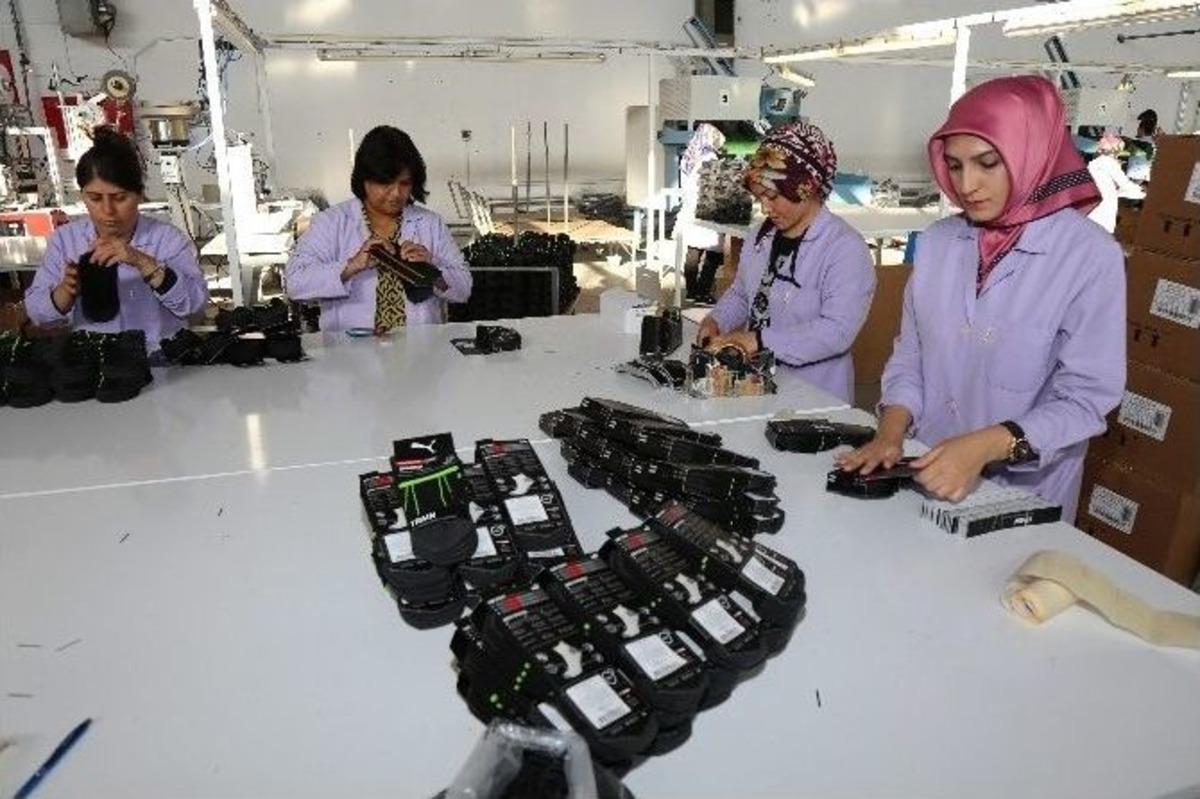 Avrupalıların &Ccedil;orabı Yozgat&rsquo;ta &Uuml;retiliyor