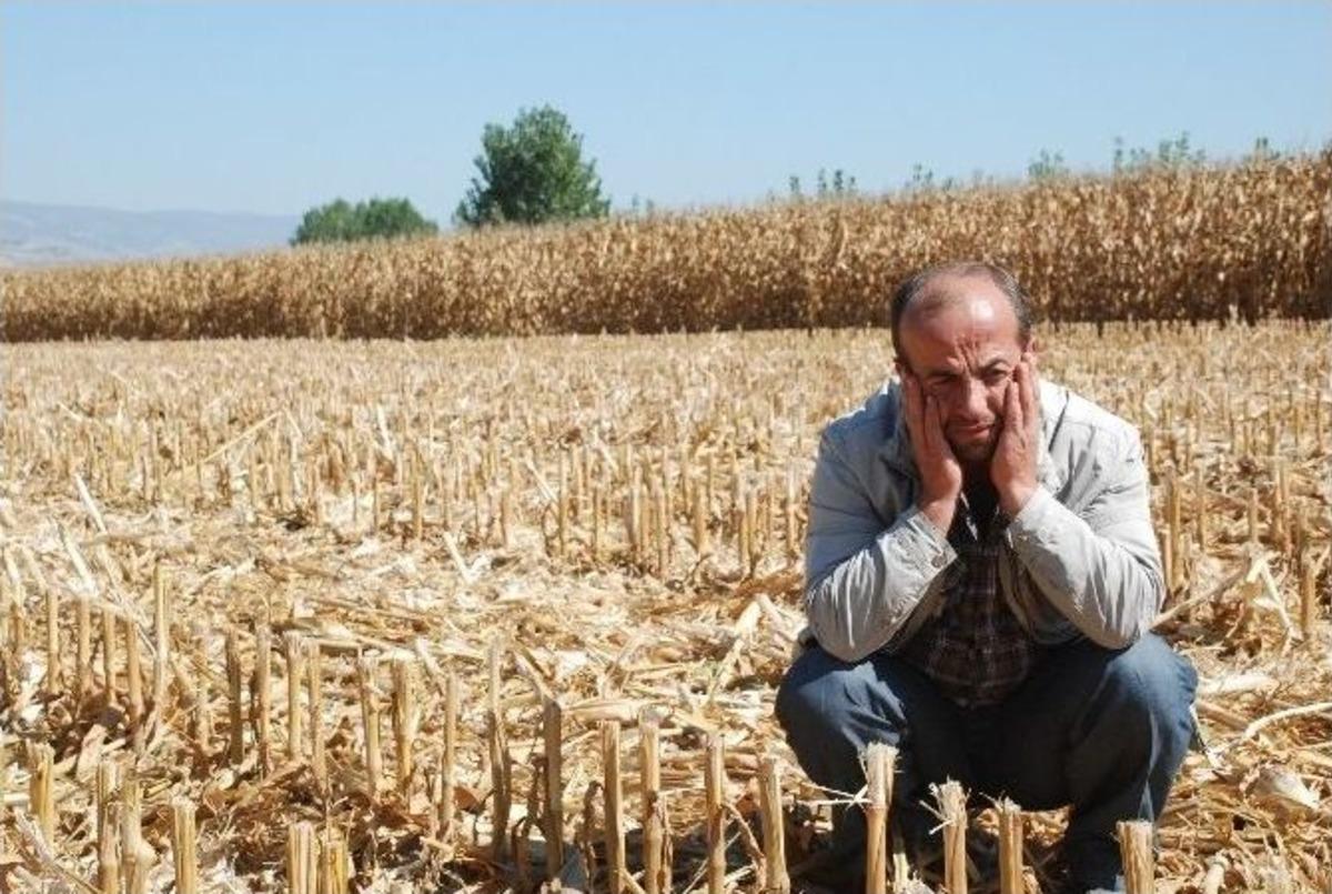 Tokat&rsquo;ta G&ouml;r&uuml;lmemiş Hırsızlık