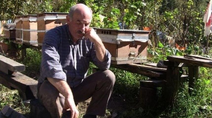 Artvin&rsquo;de Ayı Saldırıları Bitmek Bilmiyor