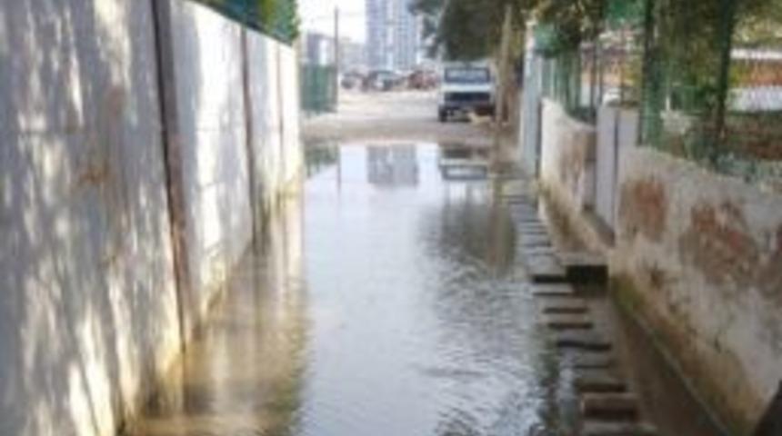 Vatandaş &Ccedil;ektiği Eziyeti Kameraya Aldı, Sosyal Medya Yıkıldı