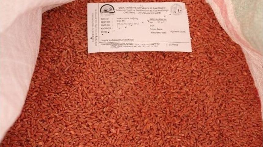 Adıyaman&rsquo;dan Sertifikalı Tohum İhracatı
