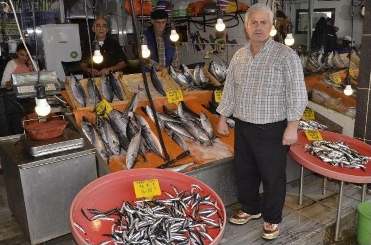 Balık Tezgahlarının G&ouml;zdesi Palamut