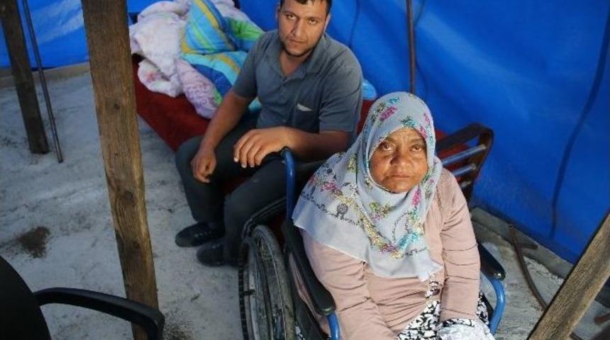 (&ouml;zel Haber) Diyaliz Hastası Tek Bacaklı Yaşlı Annenin &Ccedil;adırda Y&uuml;rek Burkan Dramı