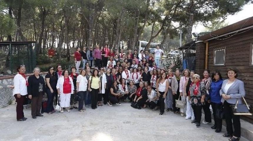 Pekdaş: &ldquo;şimdi Kol Kola Girme Zamanı&rdquo;