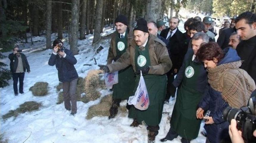 Orman Ve Su İşleri Bakanı Eroğlu&rsquo;nun, 4 Ekim D&uuml;nya Hayvanlarını Koruma G&uuml;n&uuml; Mesajı