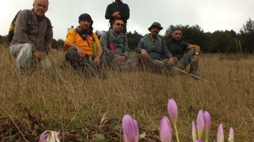 Nidost &Uuml;yeleri Doğaya Sahip &Ccedil;ıkıyor