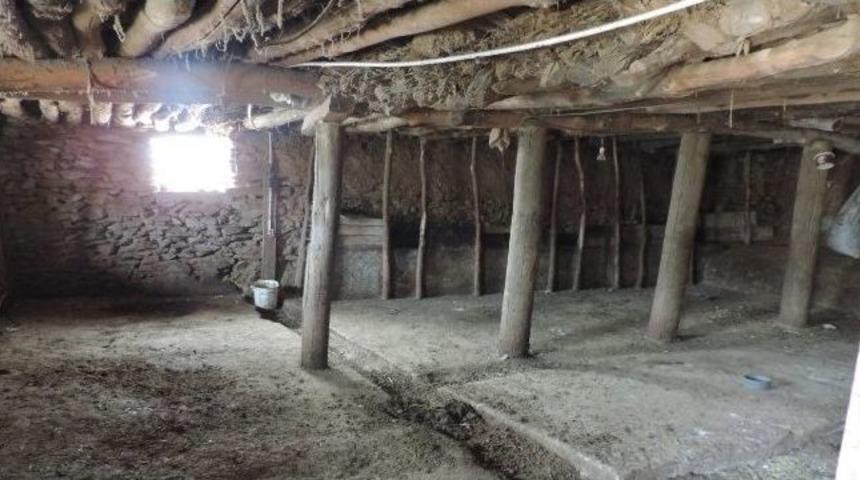 İstanbul İle Van Arasında Deyim Polemiği