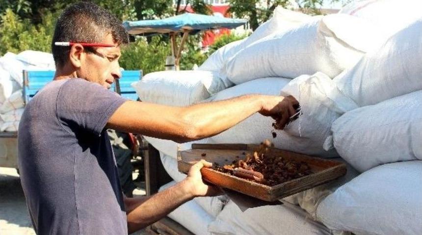 Tariş Kuru &Uuml;z&uuml;m Fiyatını A&ccedil;ıkladı