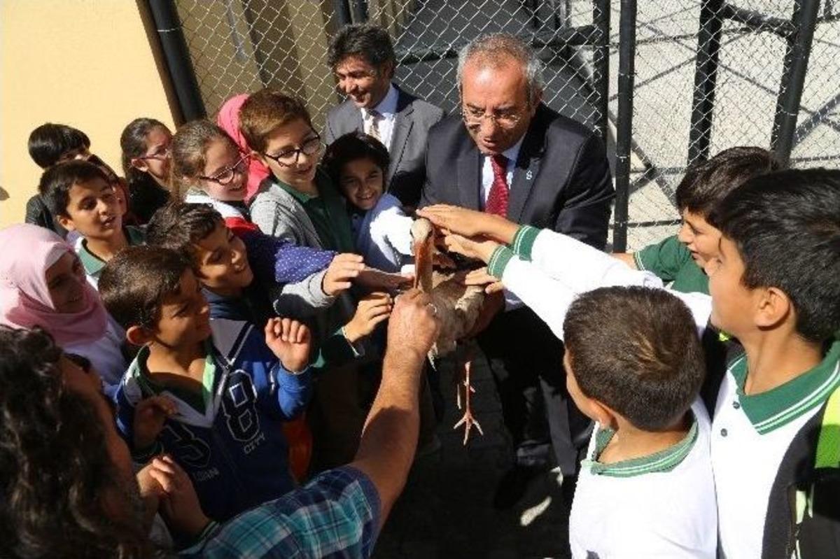 4 Ekim D&uuml;nya Hayvanları Koruma G&uuml;n&uuml;