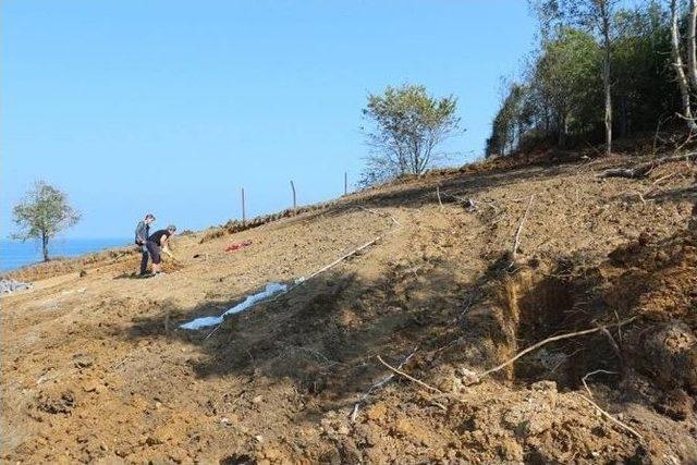 Kadınlar Plajı Rekreasyon Projesi İnşaat Çalışması Hızla Sürüyor