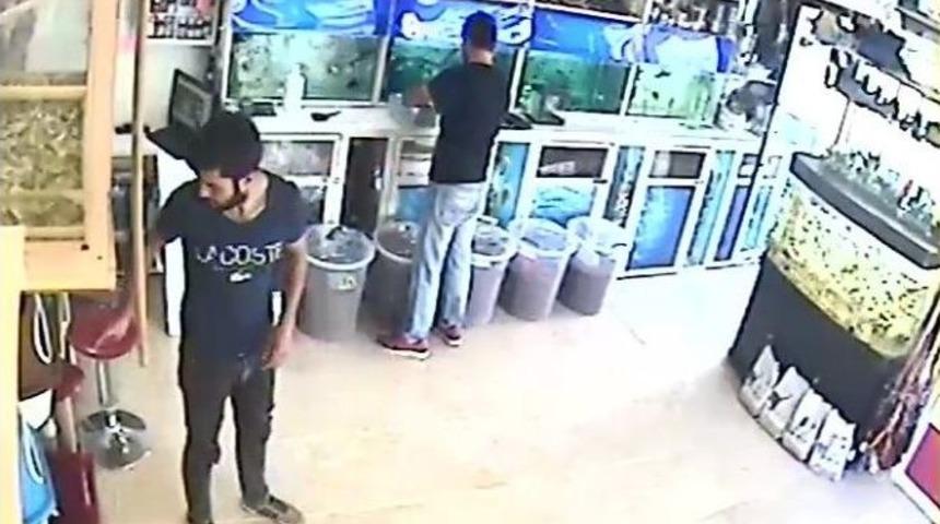 Petshop&rsquo;tan Hırsızlık G&uuml;venlik Kamerasında