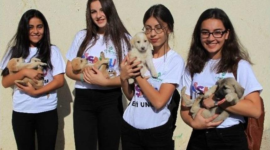 4 Ekim Hayvanları Koruma G&uuml;n&uuml; Kutlandı