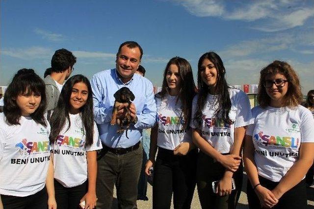 4 Ekim Hayvanları Koruma G&uuml;n&uuml; Kutlandı 1
