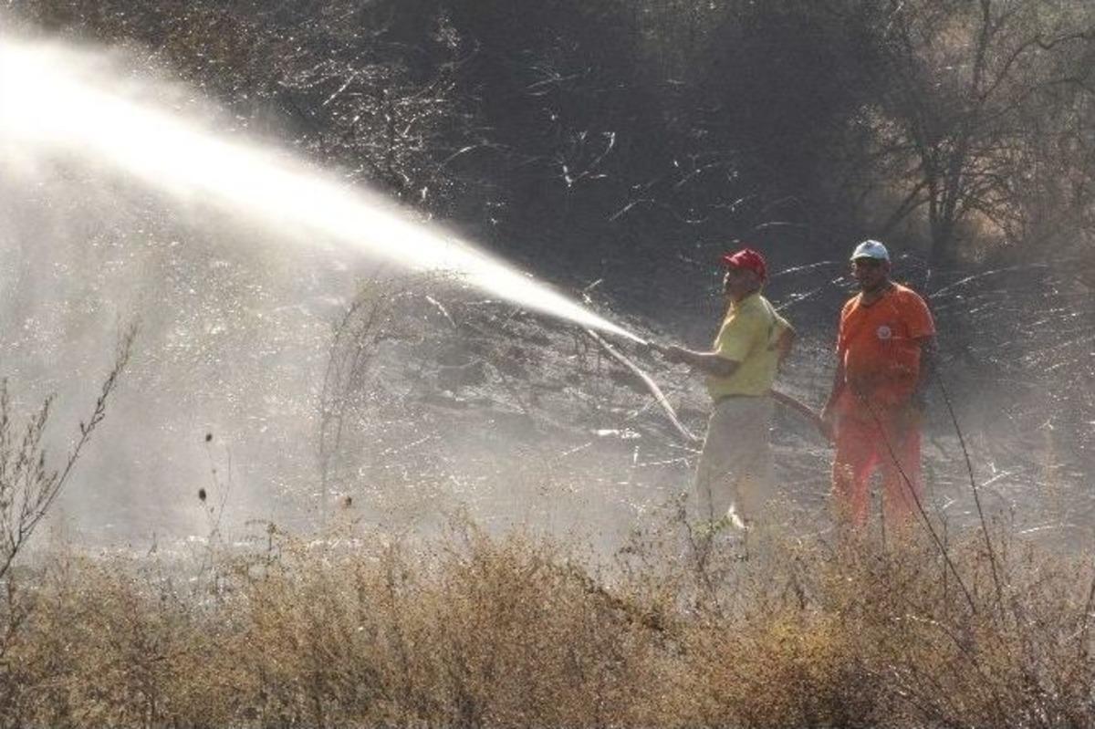 Manavgat&rsquo;ta Orman Yangını