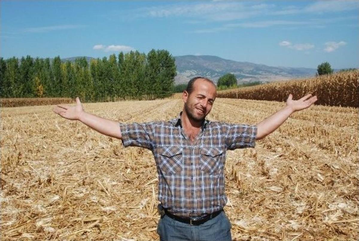 Tarlasından &Ccedil;aldırdığı Mısırlarını Buldu