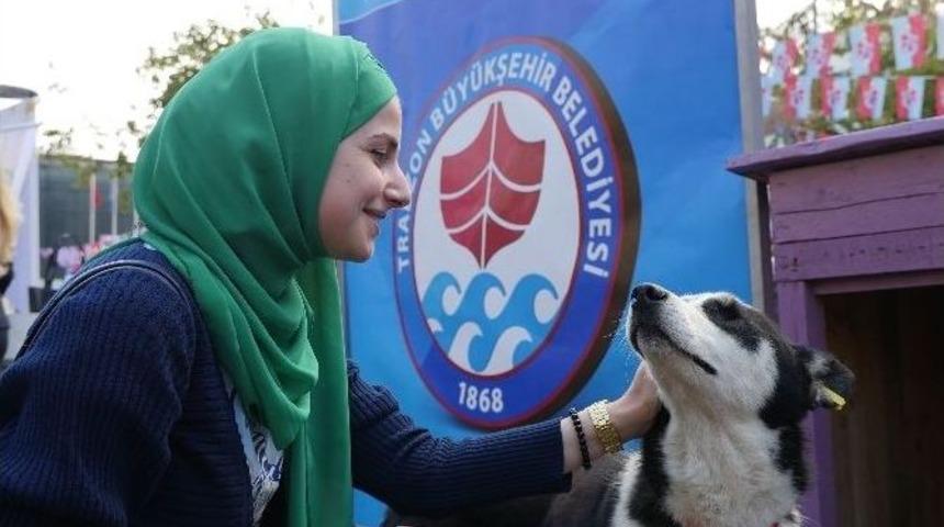 Trabzon&rsquo;da Sokak Hayvanları Unutulmadı