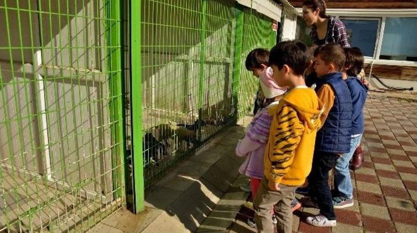 Tepebaşı&rsquo;nda D&uuml;nya Hayvanları Koruma G&uuml;n&uuml; Kutlandı