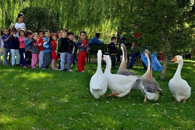 Tepebaşı’nda Dünya Hayvanları Koruma Günü Kutlandı