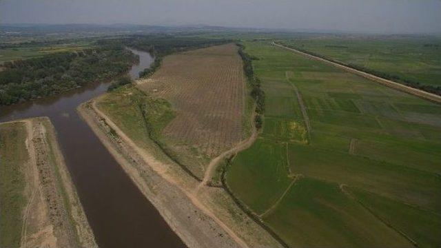 Meriç Nehri Sınırı Kavaklarla Korunuyor