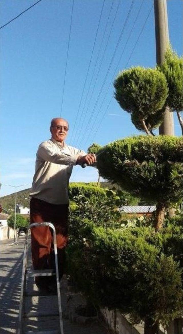 İvrindili Emekli Eğitimciden Yeşillendirme Seferberliği 1