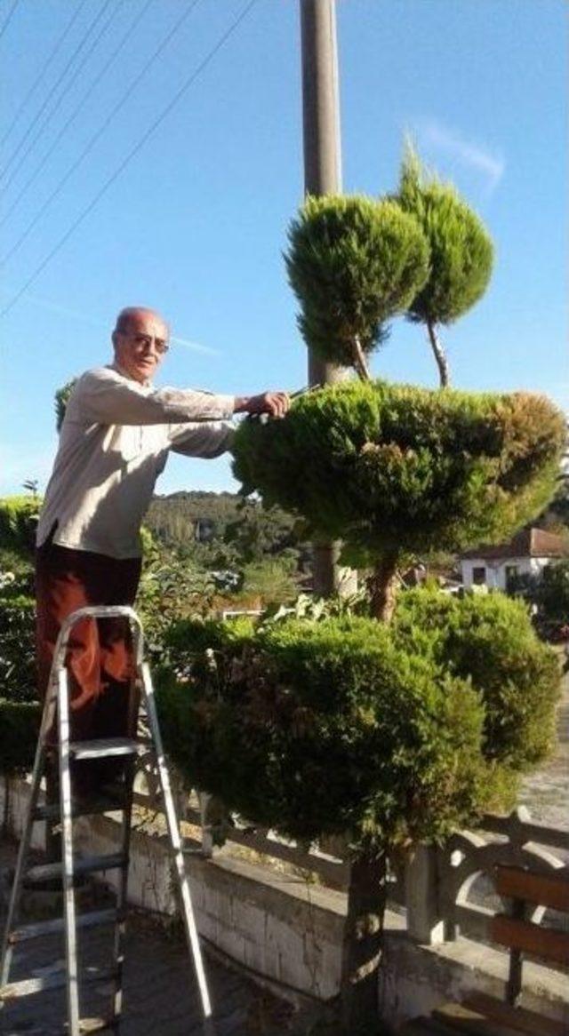 İvrindili Emekli Eğitimciden Yeşillendirme Seferberliği 2