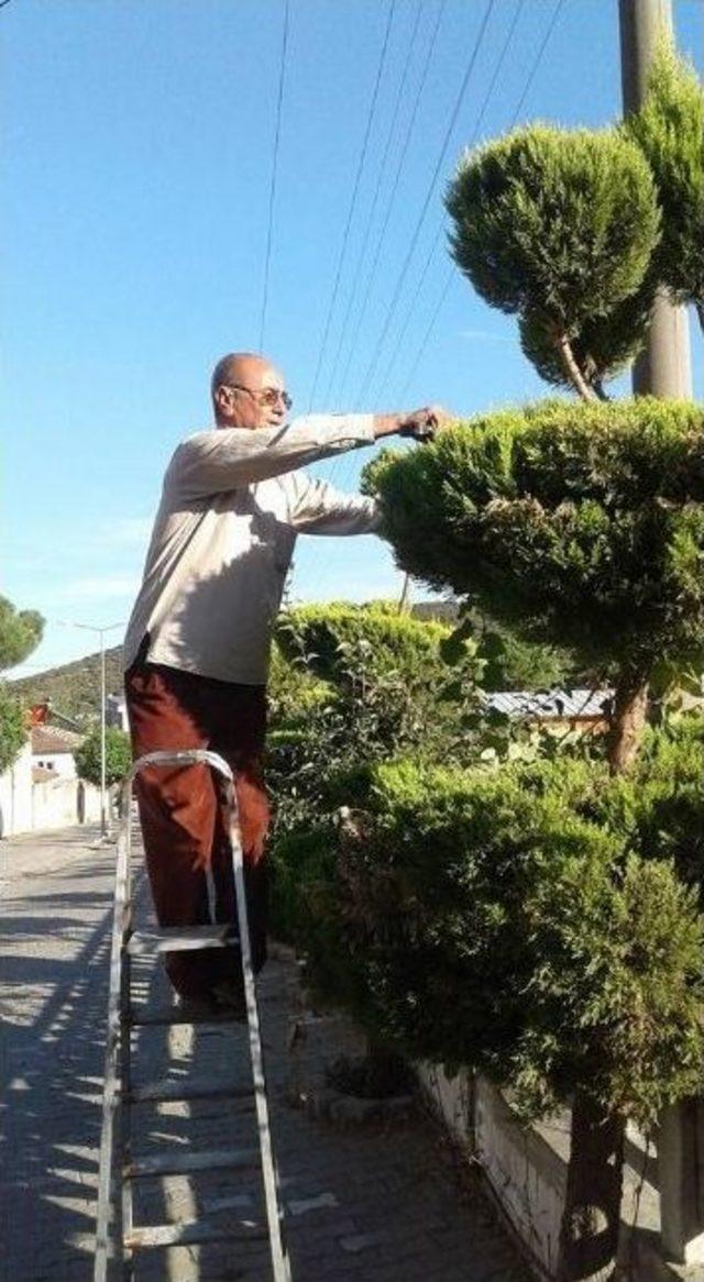 İvrindili Emekli Eğitimciden Yeşillendirme Seferberliği 3