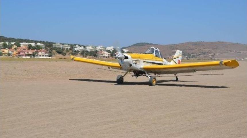 B&uuml;y&uuml;kşehir&rsquo;den Zeytin Sineği Raporu