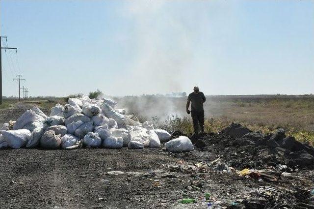 Tarsus Sahilindeki Balık Ölümleri Araştırılıyor