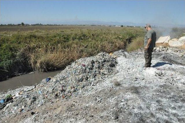 Tarsus Sahilindeki Balık Ölümleri Araştırılıyor