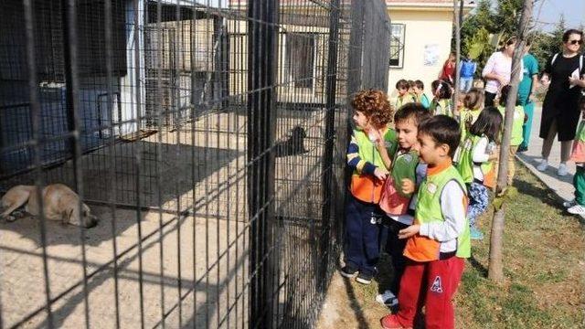 Minik Öğrenciler Hayvanları Koruma Gününde Geçici Bakımevini Ziyaret Etti