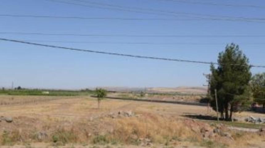 Diyarbakır&rsquo;da Yeni Fidanlık Alanı Oluşturuluyor