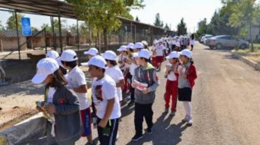 Diyarbakır&rsquo;da D&uuml;nya Hayvanları Koruma G&uuml;n&uuml; Kutlandı