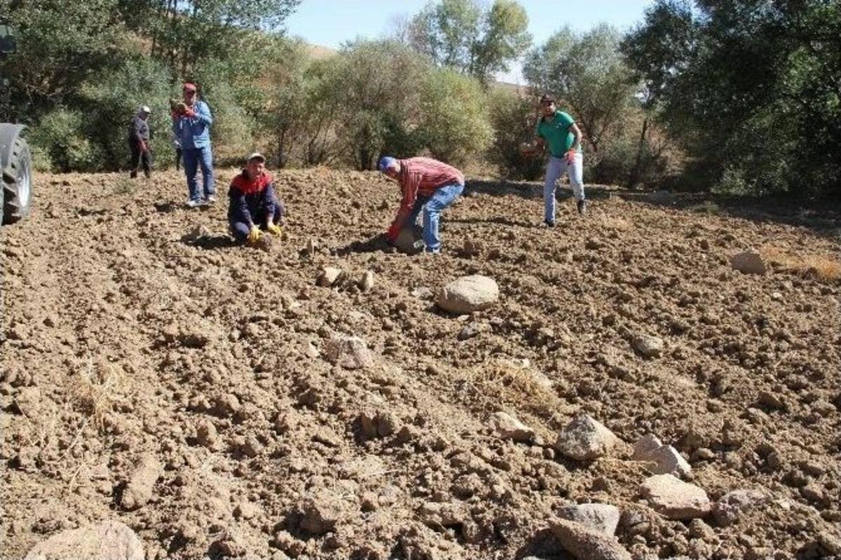 Yozgat &Ccedil;ift&ccedil;isi Taş Toplama Makinesi İstiyor