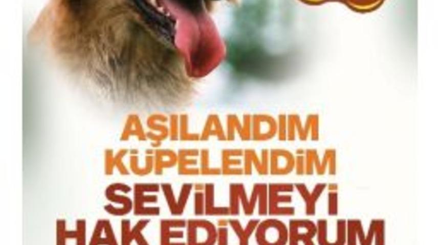 Başkan Yaman Hayvanları Koruma G&uuml;n&uuml; Vesilesiyle A&ccedil;ıklamalarda Bulundu