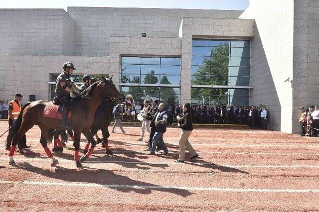 Ankara Büyükşehir’den, ’hayvanları Koruma Günü’ Etkinliği