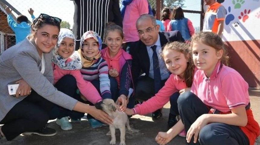 Niksar&rsquo;da &Ouml;ğrencilere &ldquo;hayvan Sevgisi&rdquo; Aşılandı