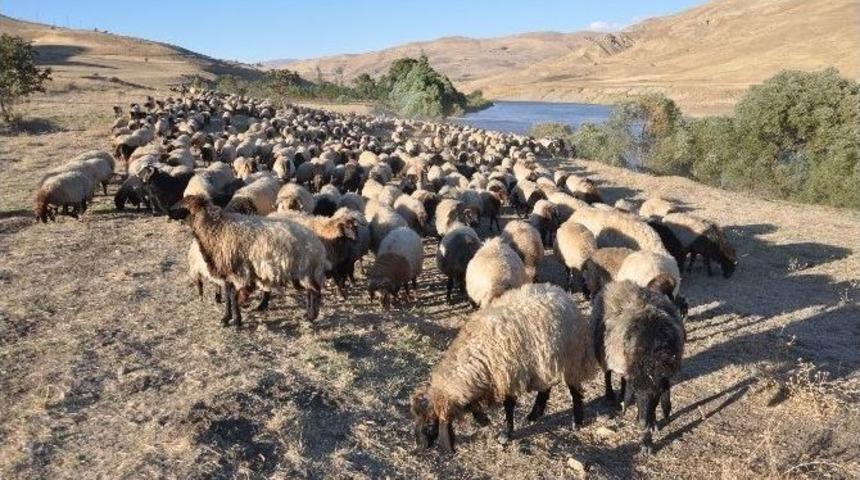 G&ouml;&ccedil;erlerin Zorlu D&ouml;n&uuml;ş Yolculuğu S&uuml;r&uuml;yor