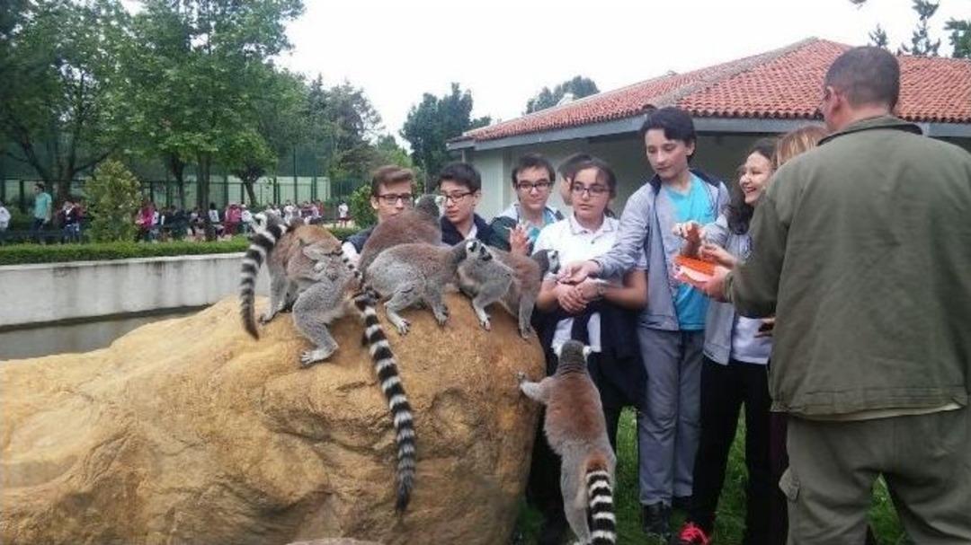 &Uuml;cretsiz Olunca Zoopark&rsquo;a Akın Ettiler