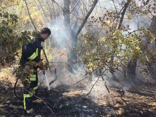 Darende’de Arazi Yangını