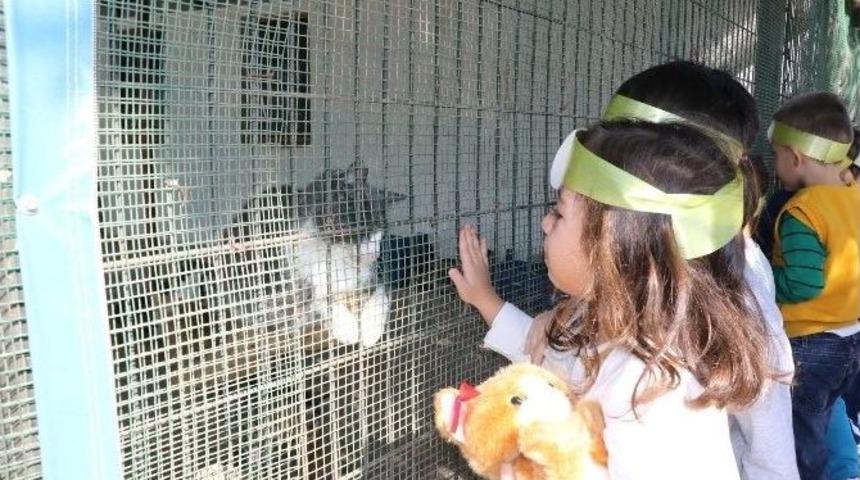 &Ccedil;ocuklardan Sevimli Dostlarına Ziyaret