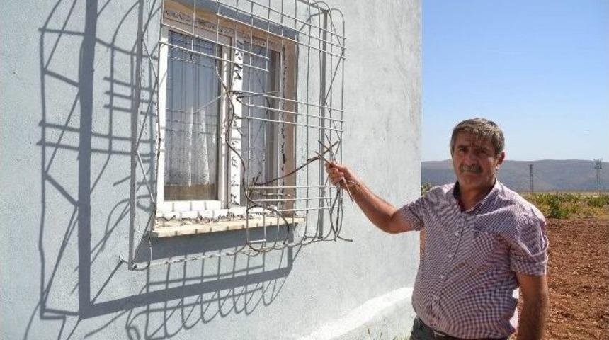 Siirt&rsquo;te &Ccedil;ift&ccedil;ilerin Başı Hırsızlarla Dertte