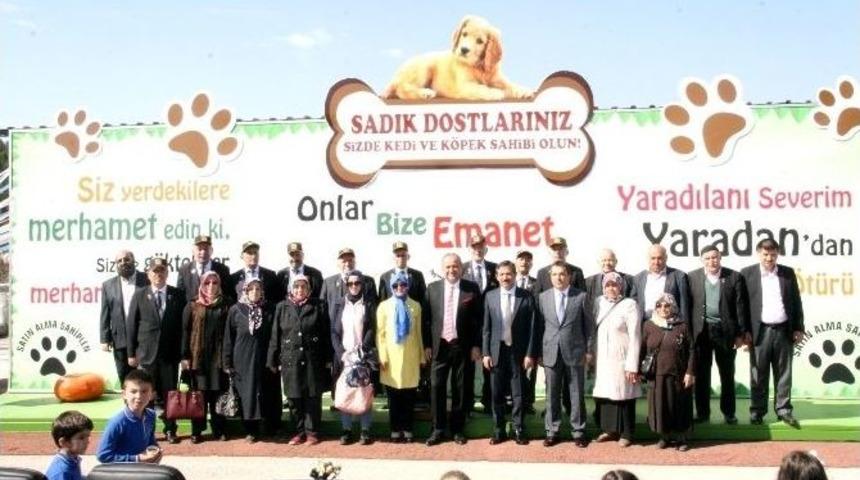 &Ccedil;ocuklar Hayvan Sevgisini Yaşadılar