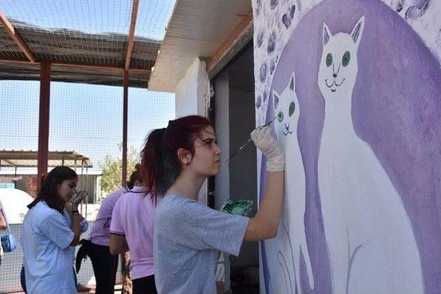 Didim&rsquo;de Hayvanseverler İle Sokak Hayvanları Buluştu 2