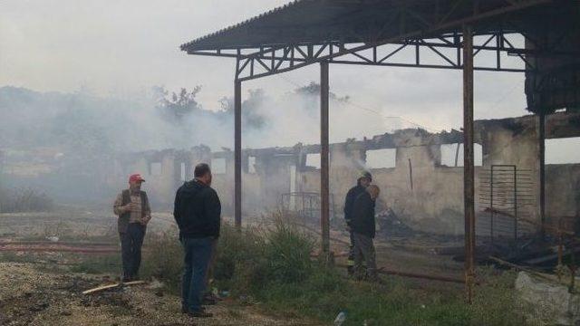 Bursa’da Mobilya Fabrikasında Korkutan Yangın