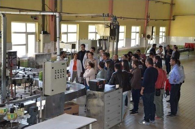 Gıda Denetim Ordusuna 36 Personel Daha Kontrol Görevlisi Olarak Katıldı 2