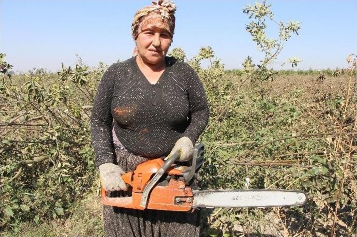 &rsquo;testere Birg&uuml;l&rsquo;