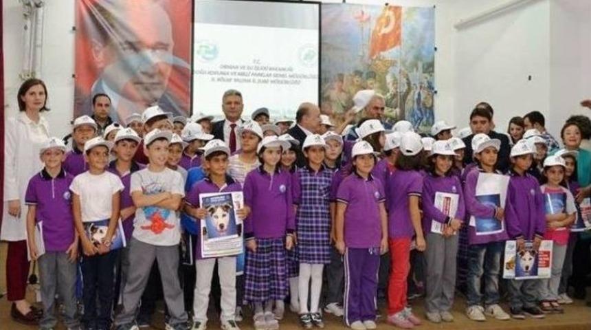 Yalova&rsquo;da, "sokak Hayvanlarına Sahip &Ccedil;ıkalım" &Ccedil;ağrısı