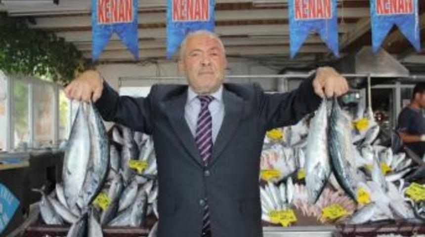 Palamut Tezgahta 20 Sene &Ouml;nceki Fiyatını G&ouml;rd&uuml;