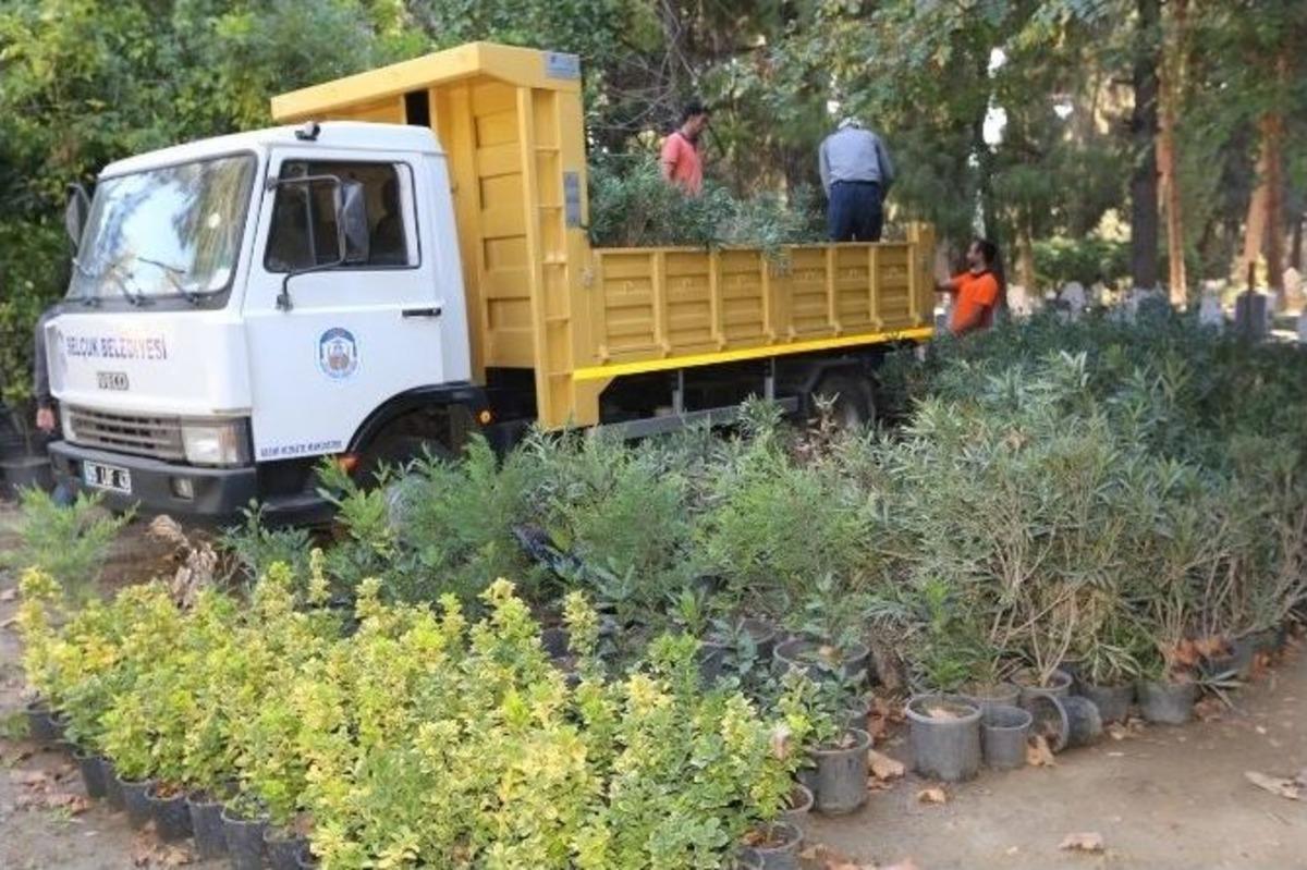 Sel&ccedil;uk Belediyesinden Ek Mezarlık Alanı