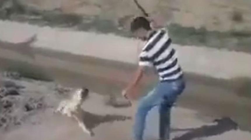 Bu G&ouml;r&uuml;nt&uuml;ler Sosyal Medyayı Ayağa Kaldırdı